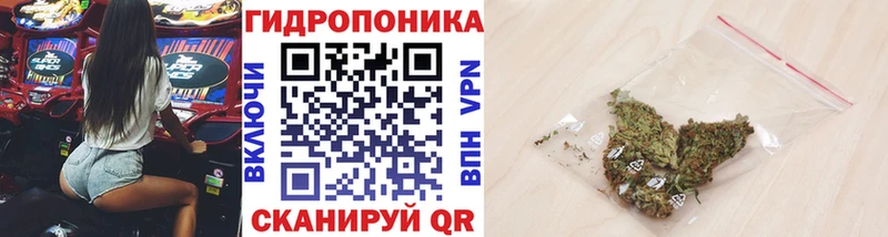 Канабис THC 21% mega как войти Кувандык